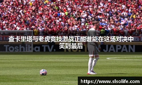 查卡里塔与老虎竞技激战正酣谁能在这场对决中笑到最后
